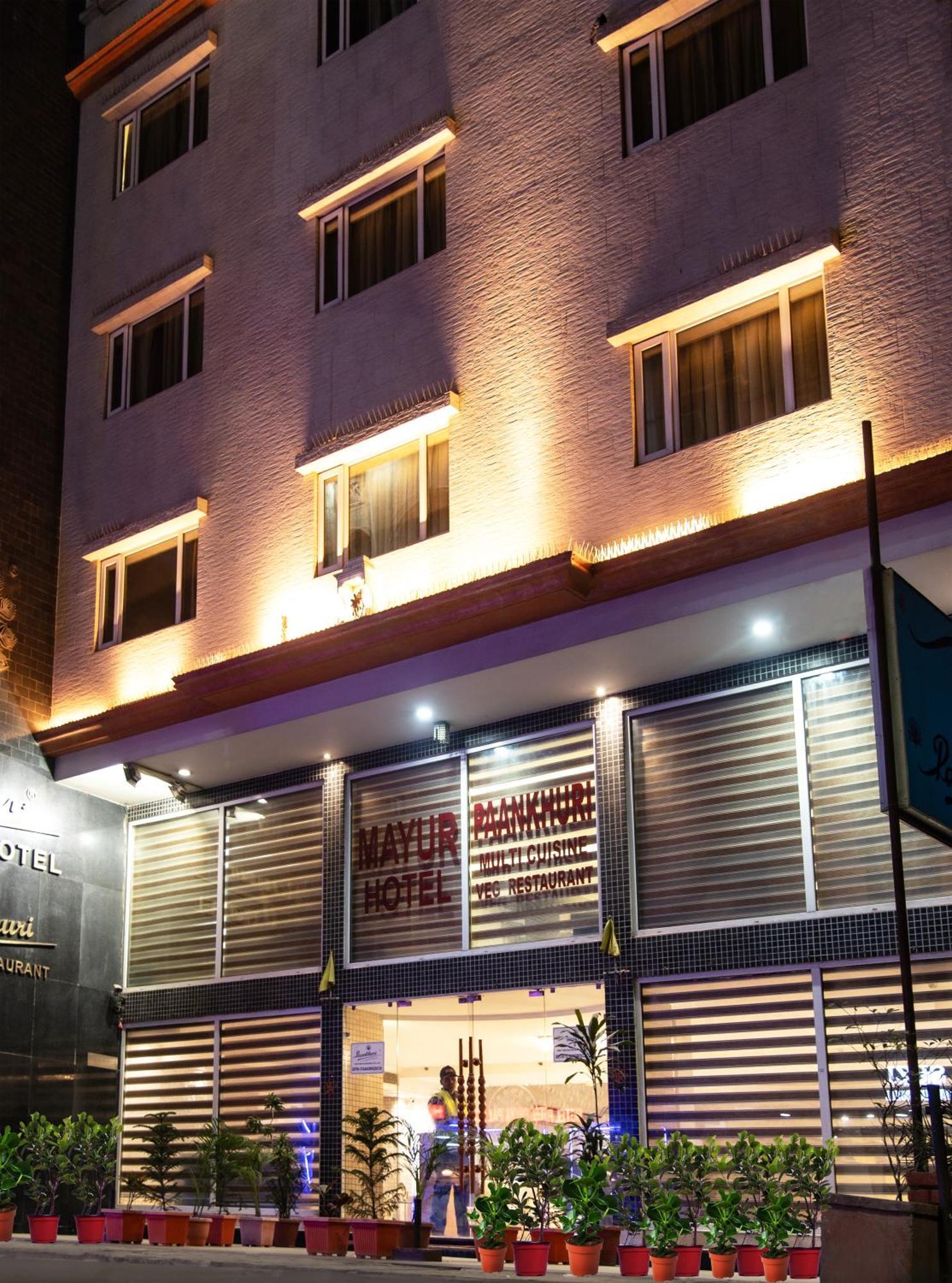 Mayur Hotel Нью-Дели Экстерьер фото